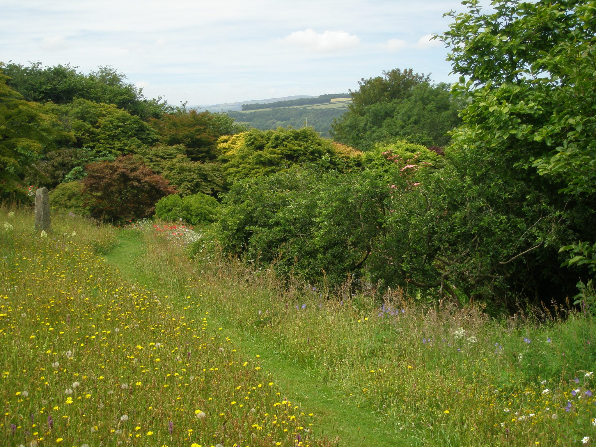 A path mown through the Wildflower Meadow leads toward the Acer Glade and Rill.