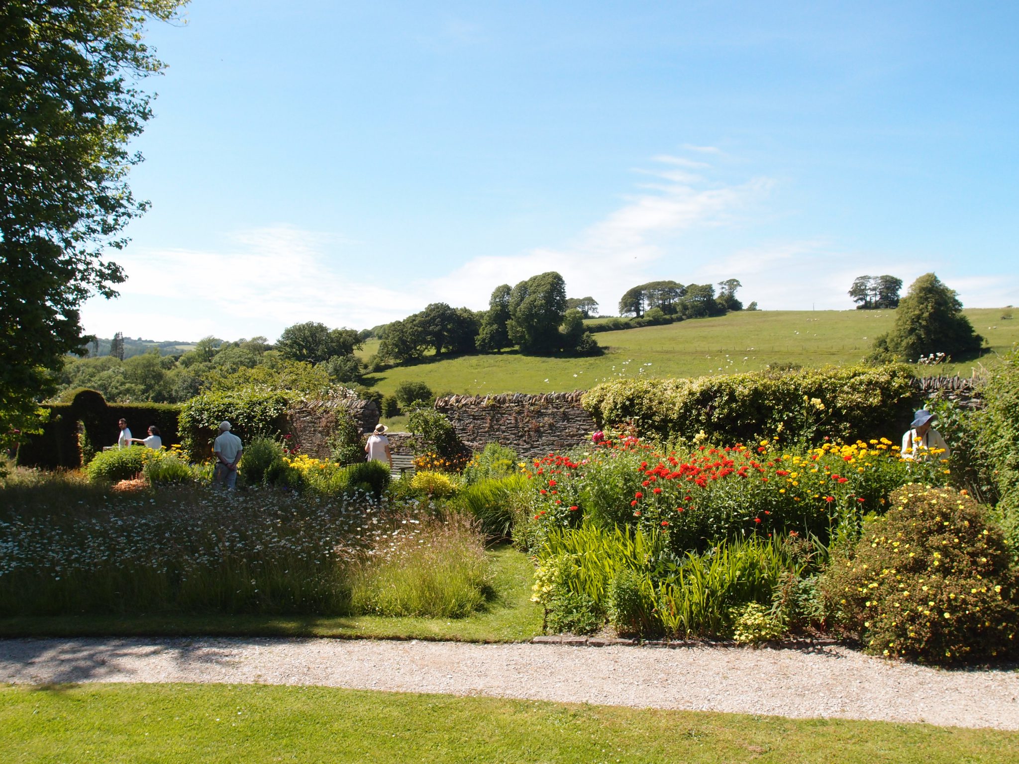 We're now within the public section of the Cider House Garden, with wonderful views of the Estate's hillsides, where flocks of sheep graze.
