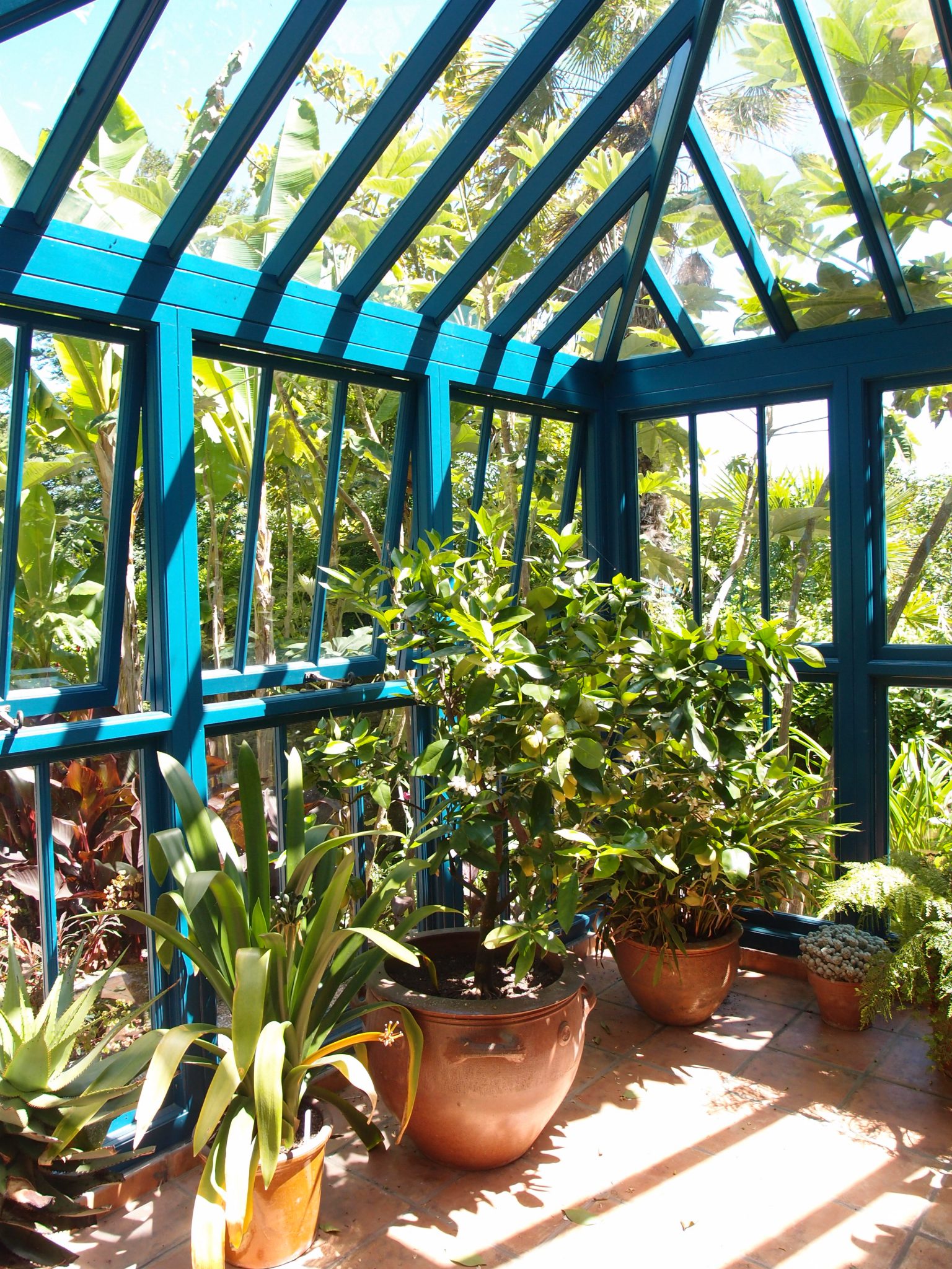The Banana Garden's Greenhouse: painted in Overbeck's Signature Blue.