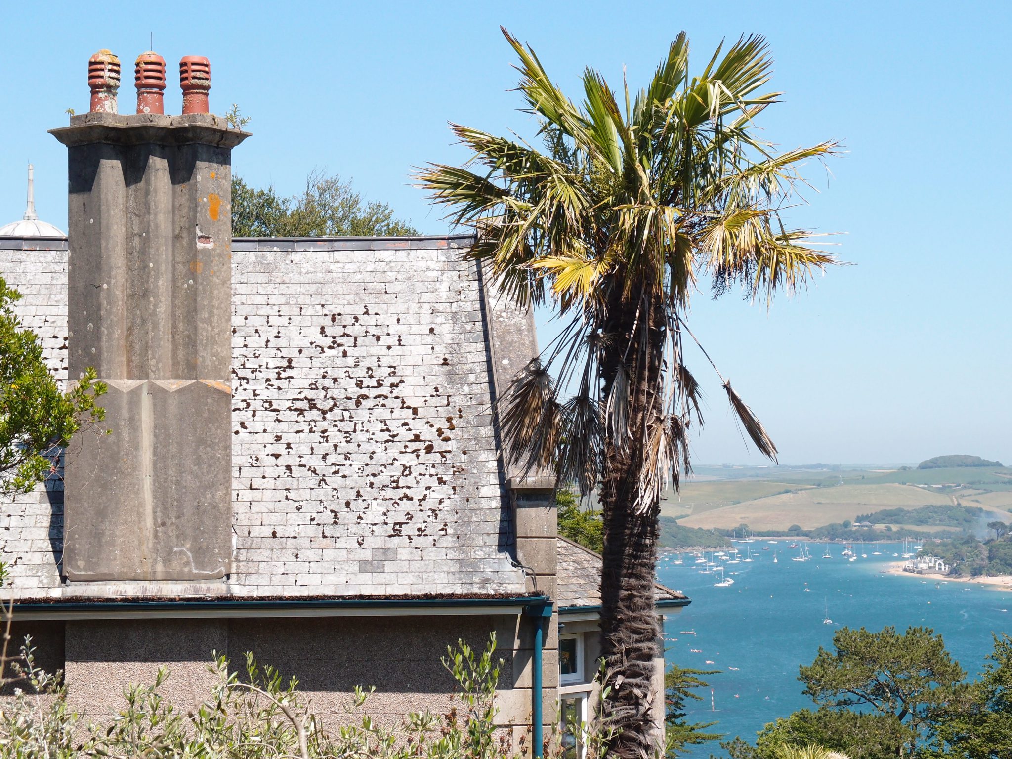 From the Gazebo Garden, we take a closer look at the House chimneys.