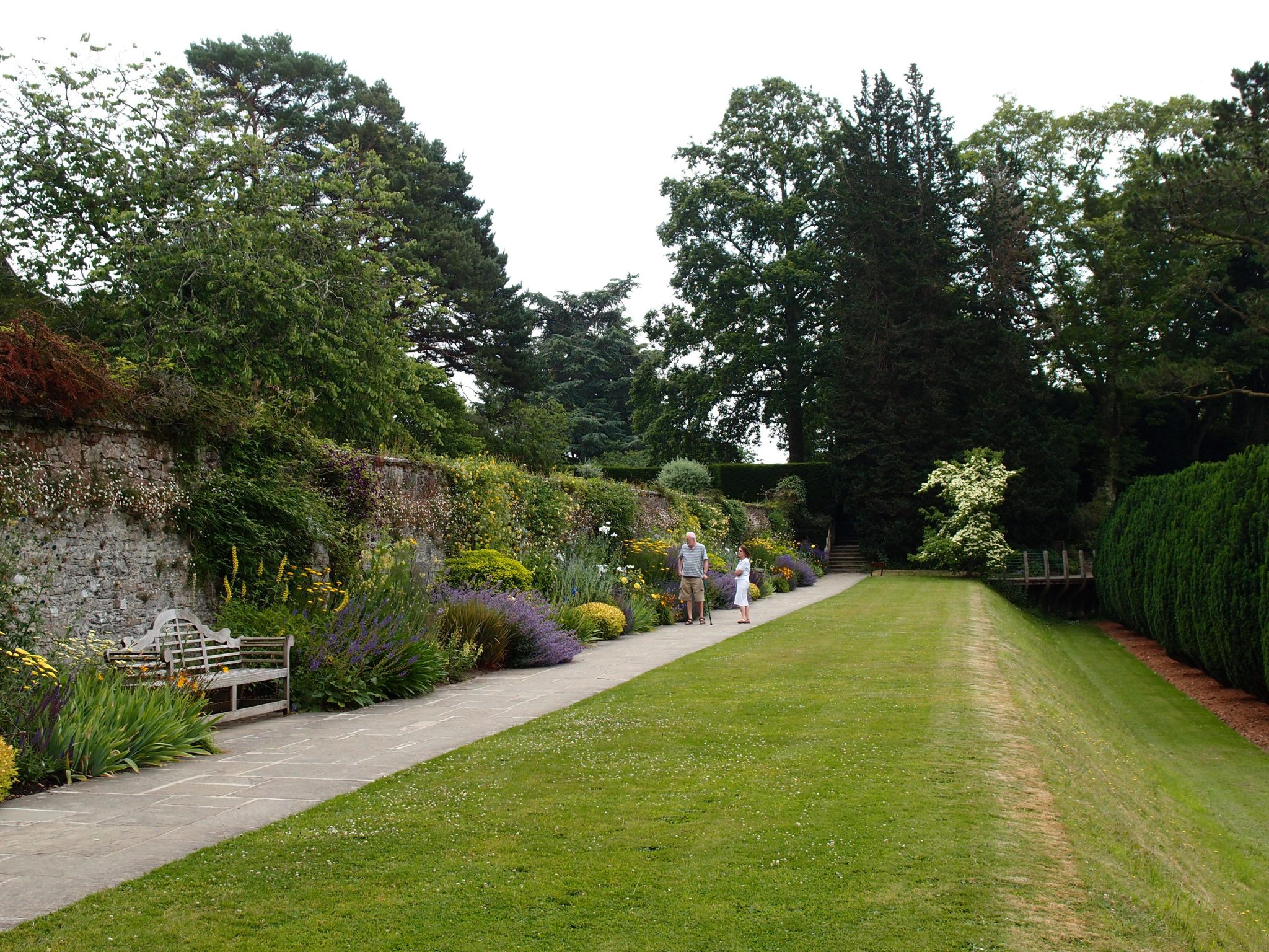 On the left: the Sunny Border. To the rear, right: the line of highly-sculptural Irish Yews, which are called the Twelve Apostles.
