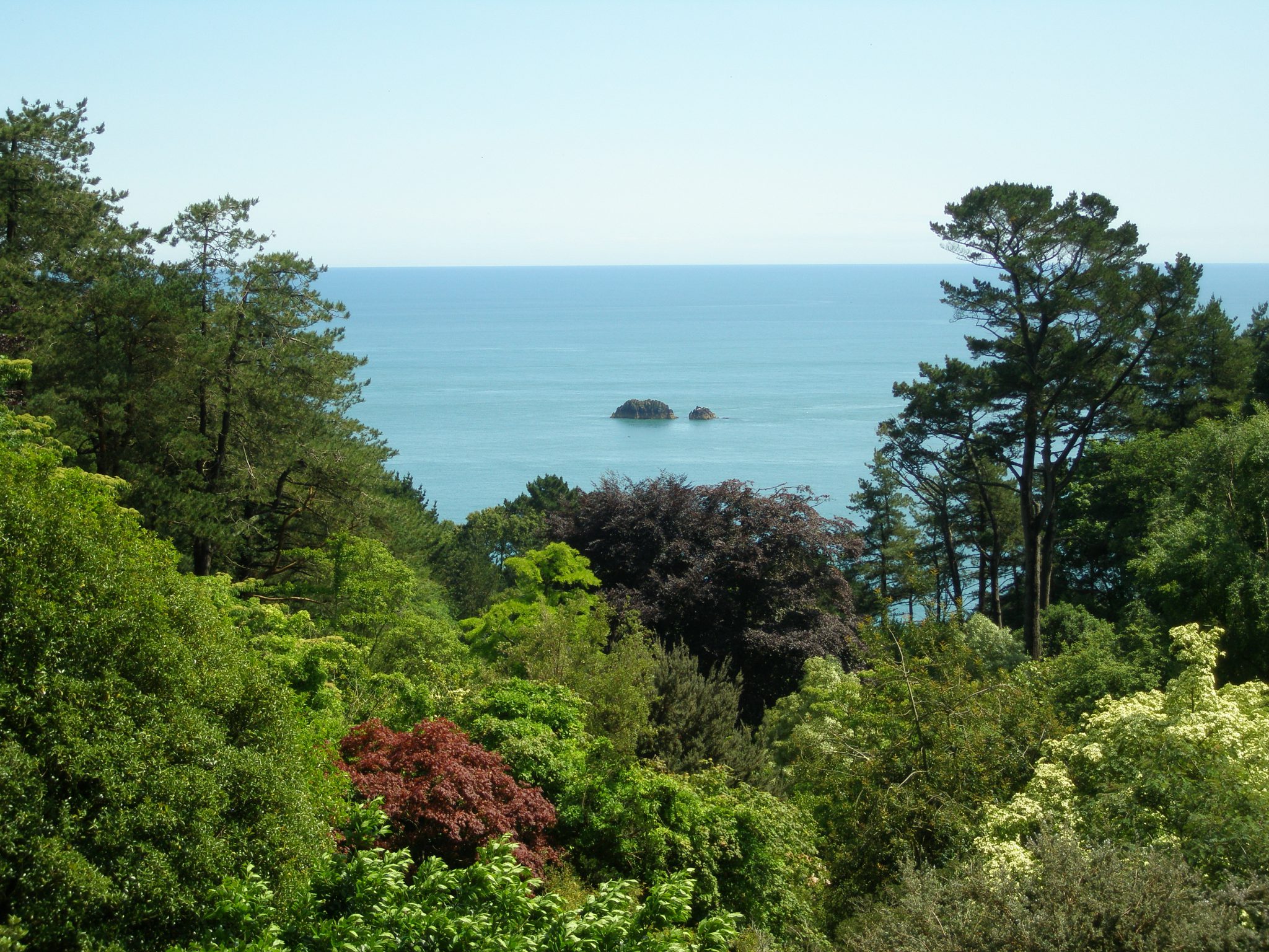 My final view of the English Channel, from the Gazebo at Coleton Fishacre.