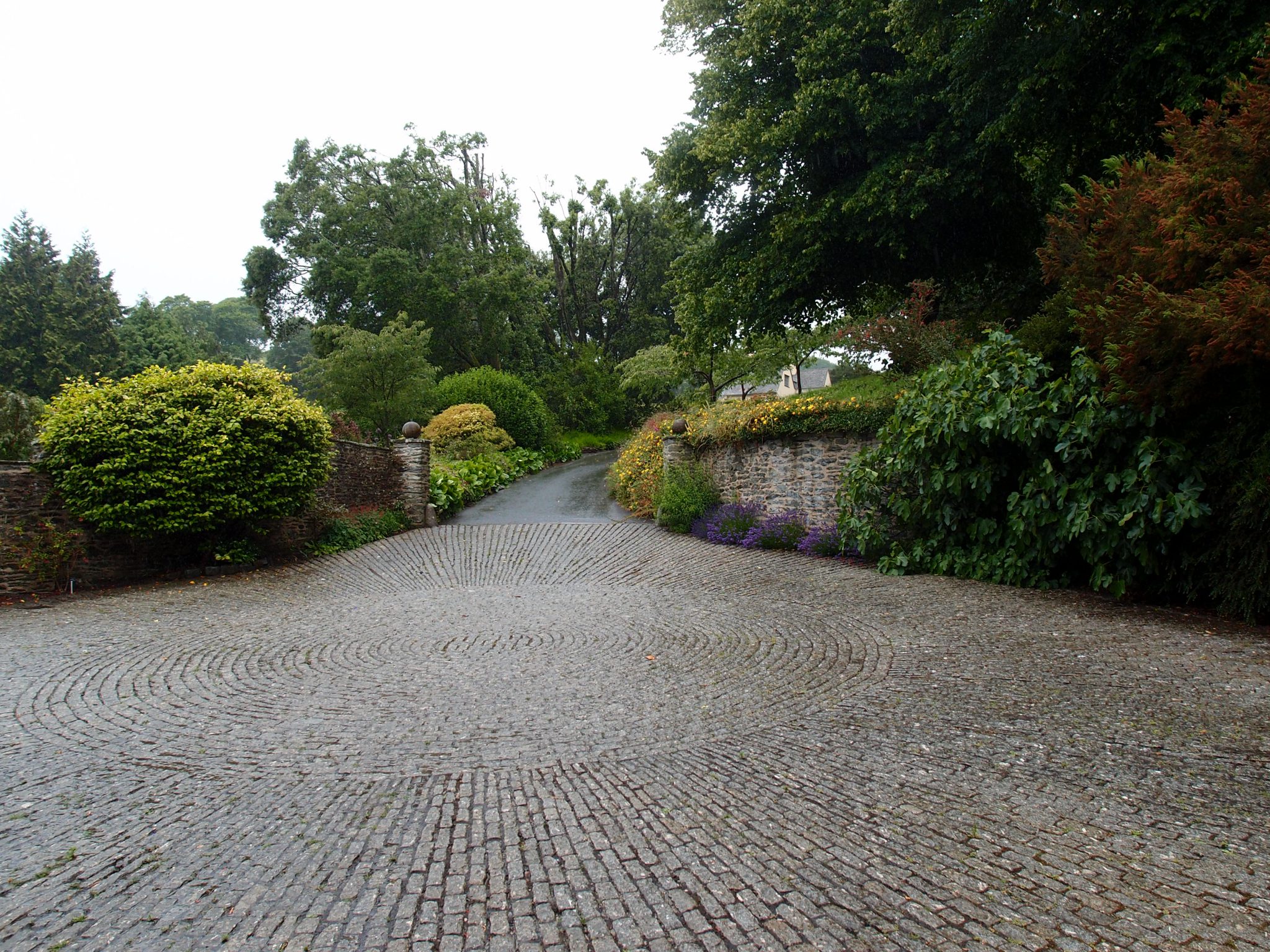  Our drizzly but encouraging view of the Forecourt, from the front porch. 