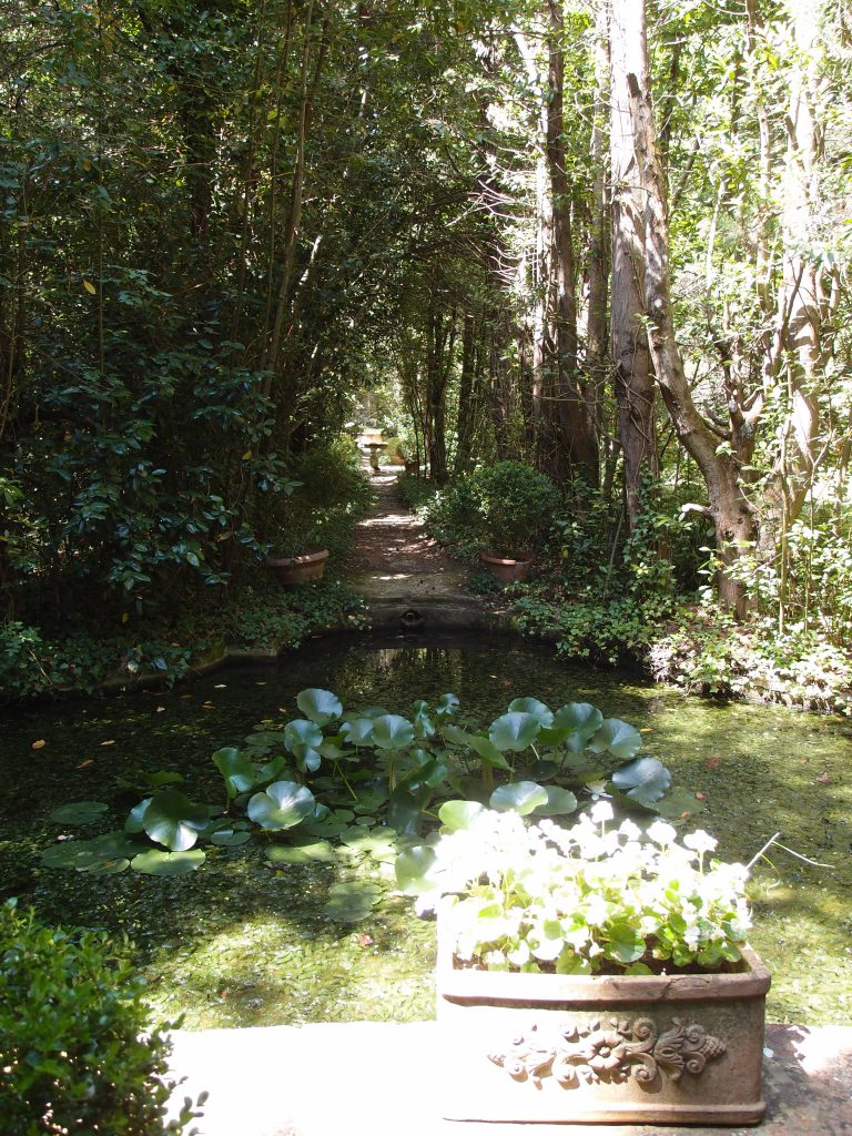 A woodland path leads to another pool